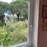 Beachfront In Qerret With A Private Pool Villa