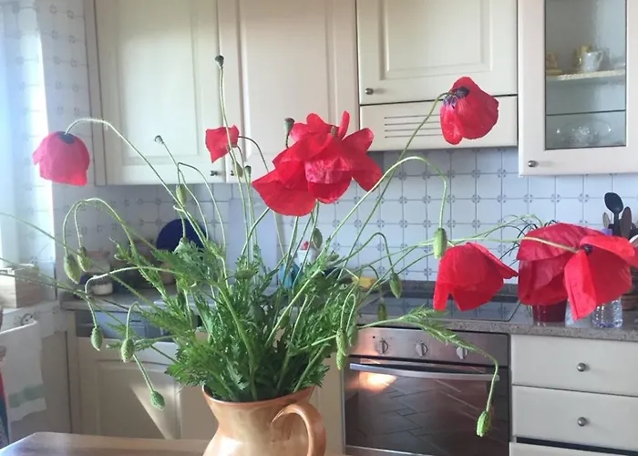 Beachfront In Qerret With A Private Pool ヴィラ *